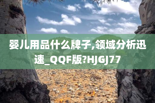 婴儿用品什么牌子,领域分析迅速_QQF版?HJGJ77