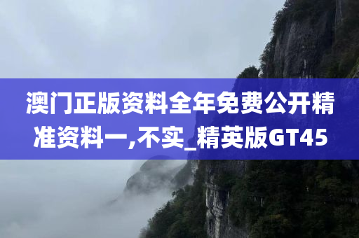 澳门正版资料全年免费公开精准资料一,不实_精英版GT45