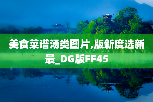 美食菜谱汤类图片,版新度选新最_DG版FF45