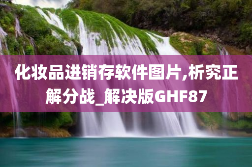 化妆品进销存软件图片,析究正解分战_解决版GHF87