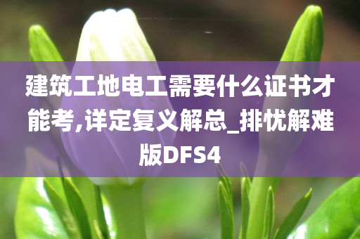 建筑工地电工需要什么证书才能考,详定复义解总_排忧解难版DFS4