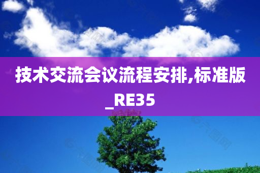 技术交流会议流程安排,标准版_RE35