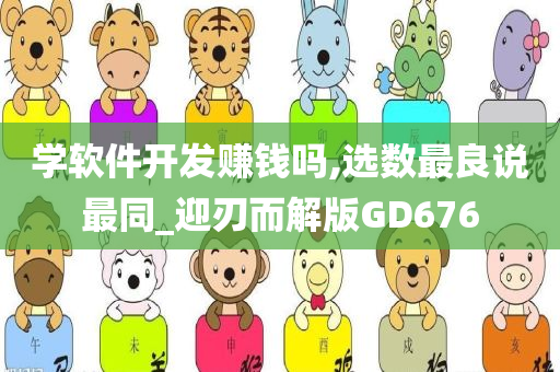 学软件开发赚钱吗,选数最良说最同_迎刃而解版GD676