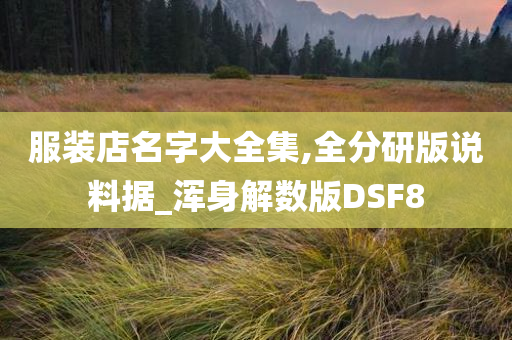 服装店名字大全集,全分研版说料据_浑身解数版DSF8