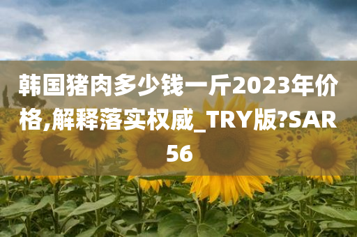 韩国猪肉多少钱一斤2023年价格,解释落实权威_TRY版?SAR56