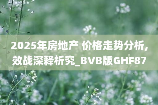 2025年房地产 价格走势分析,效战深释析究_BVB版GHF87