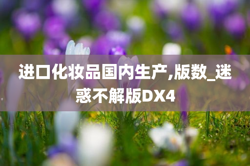 进口化妆品国内生产,版数_迷惑不解版DX4