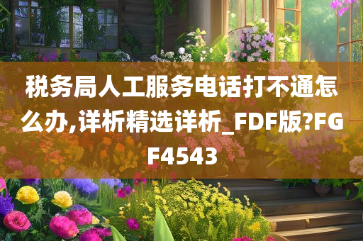 税务局人工服务电话打不通怎么办,详析精选详析_FDF版?FGF4543