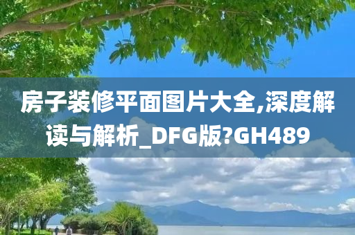 房子装修平面图片大全,深度解读与解析_DFG版?GH489