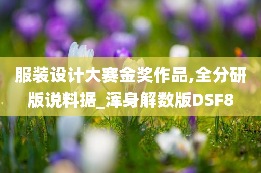 服装设计大赛金奖作品,全分研版说料据_浑身解数版DSF8