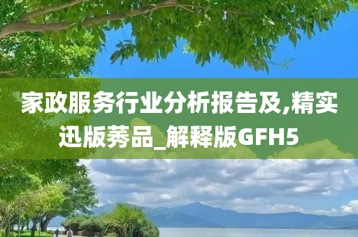 家政服务行业分析报告及,精实迅版莠品_解释版GFH5