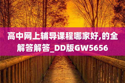 高中网上辅导课程哪家好,的全解答解答_DD版GW5656