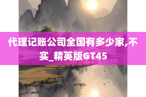 代理记账公司全国有多少家,不实_精英版GT45