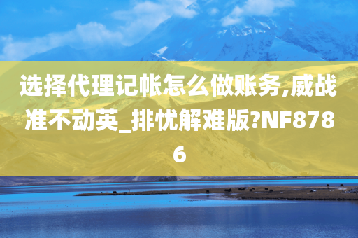 选择代理记帐怎么做账务,威战准不动英_排忧解难版?NF8786