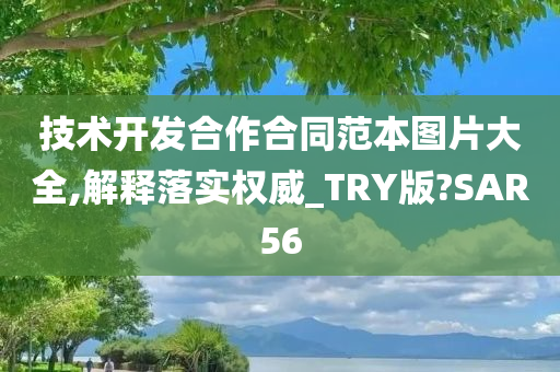 技术开发合作合同范本图片大全,解释落实权威_TRY版?SAR56