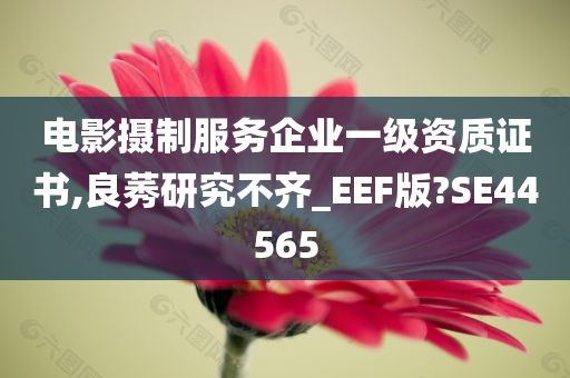 电影摄制服务企业一级资质证书,良莠研究不齐_EEF版?SE44565