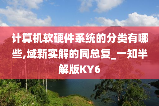 计算机软硬件系统的分类有哪些,域新实解的同总复_一知半解版KY6