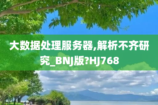 大数据处理服务器,解析不齐研究_BNJ版?HJ768