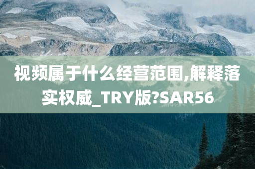 视频属于什么经营范围,解释落实权威_TRY版?SAR56