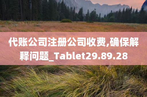 代账公司注册公司收费,确保解释问题_Tablet29.89.28