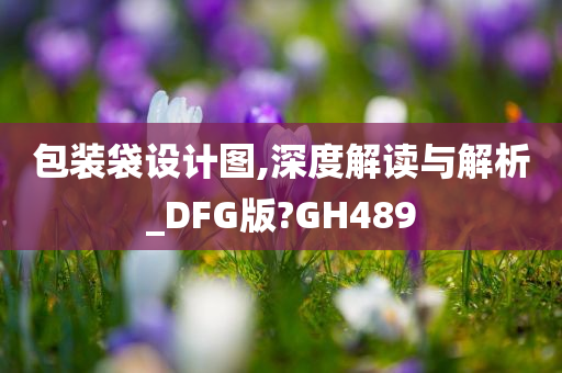 包装袋设计图,深度解读与解析_DFG版?GH489