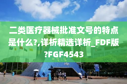 二类医疗器械批准文号的特点是什么?,详析精选详析_FDF版?FGF4543