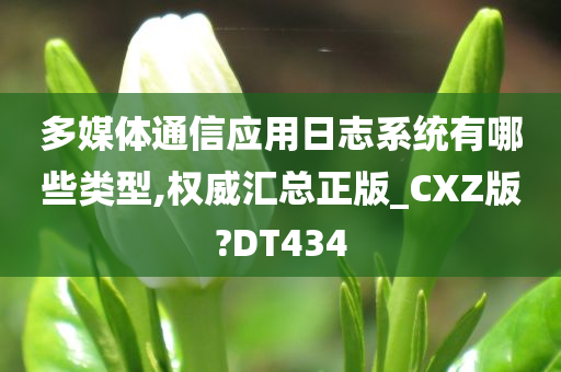 多媒体通信应用日志系统有哪些类型,权威汇总正版_CXZ版?DT434