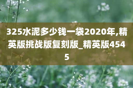 325水泥多少钱一袋2020年,精英版挑战版复刻版_精英版4545