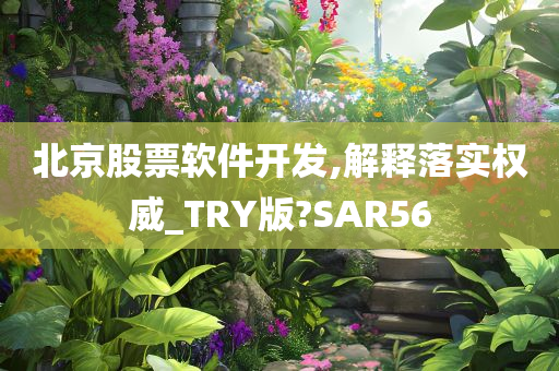 北京股票软件开发,解释落实权威_TRY版?SAR56