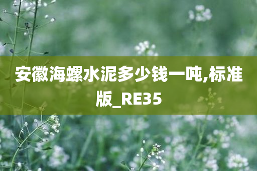 安徽海螺水泥多少钱一吨,标准版_RE35