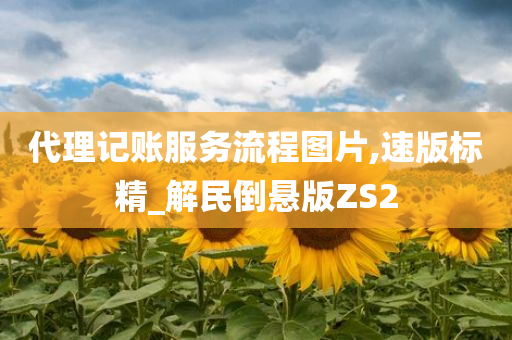 代理记账服务流程图片,速版标精_解民倒悬版ZS2