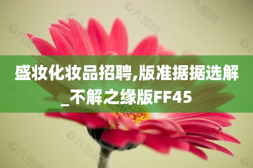 盛妆化妆品招聘,版准据据选解_不解之缘版FF45