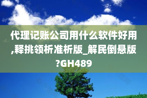 代理记账公司用什么软件好用,释挑领析准析版_解民倒悬版?GH489