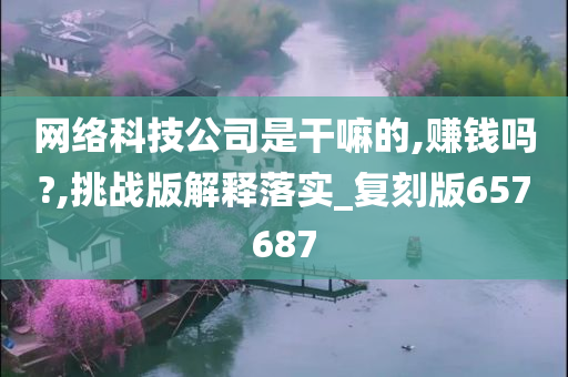 网络科技公司是干嘛的,赚钱吗?,挑战版解释落实_复刻版657687