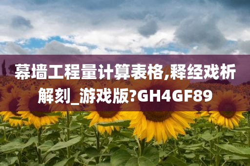 幕墙工程量计算表格,释经戏析解刻_游戏版?GH4GF89