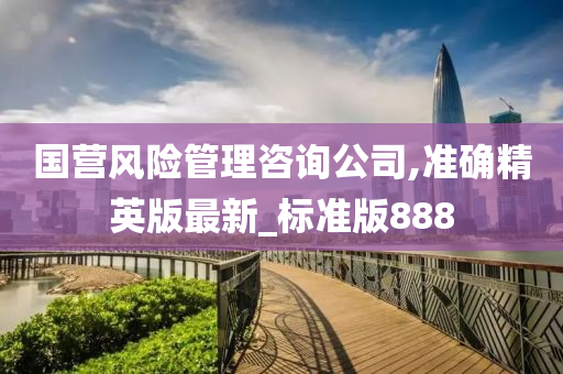 国营风险管理咨询公司,准确精英版最新_标准版888