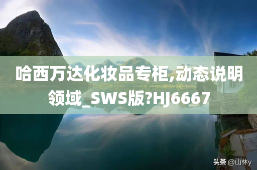 哈西万达化妆品专柜,动态说明领域_SWS版?HJ6667