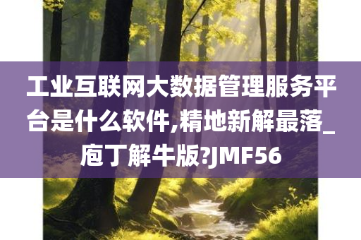 工业互联网大数据管理服务平台是什么软件,精地新解最落_庖丁解牛版?JMF56