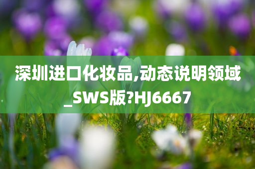 深圳进口化妆品,动态说明领域_SWS版?HJ6667