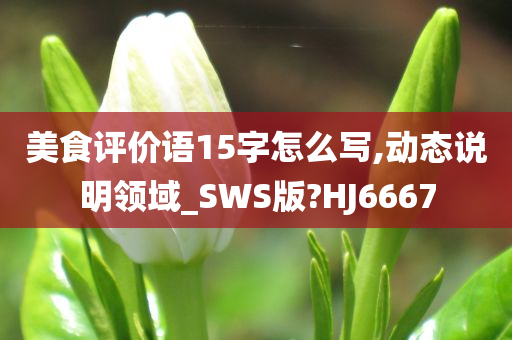 美食评价语15字怎么写,动态说明领域_SWS版?HJ6667