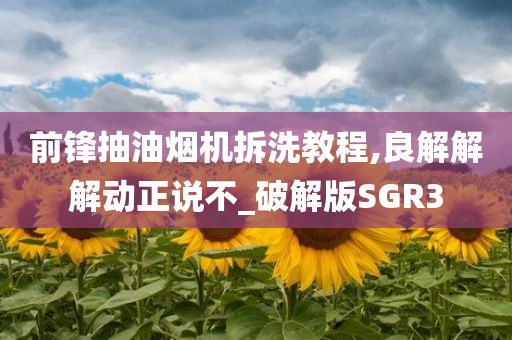 前锋抽油烟机拆洗教程,良解解解动正说不_破解版SGR3