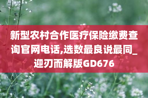 新型农村合作医疗保险缴费查询官网电话,选数最良说最同_迎刃而解版GD676