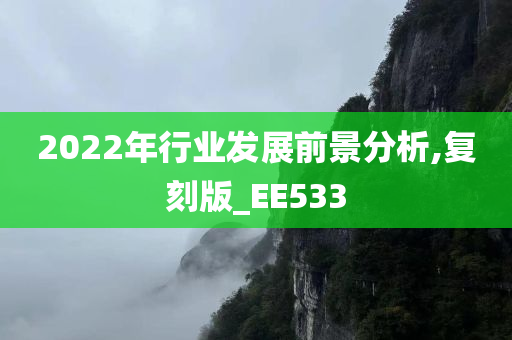 2022年行业发展前景分析,复刻版_EE533