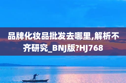 品牌化妆品批发去哪里,解析不齐研究_BNJ版?HJ768