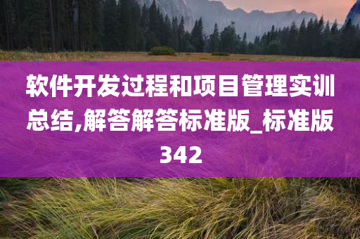 软件开发过程和项目管理实训总结,解答解答标准版_标准版342