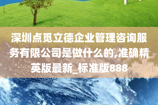 深圳点觅立德企业管理咨询服务有限公司是做什么的,准确精英版最新_标准版888