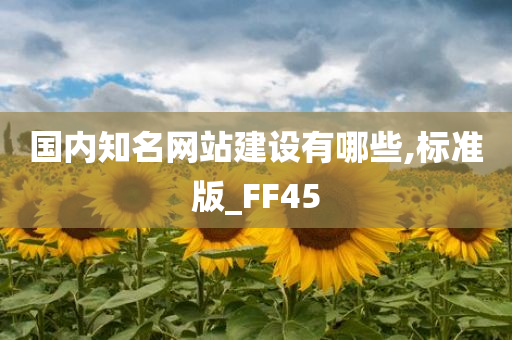 国内知名网站建设有哪些,标准版_FF45