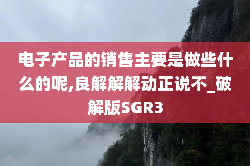 电子产品的销售主要是做些什么的呢,良解解解动正说不_破解版SGR3