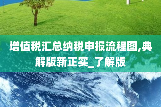 增值税汇总纳税申报流程图,典解版新正实_了解版