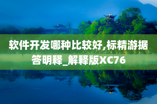 软件开发哪种比较好,标精游据答明释_解释版XC76